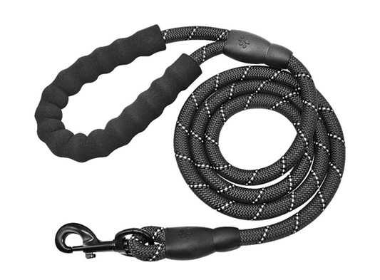 Dog Leads & Leashes