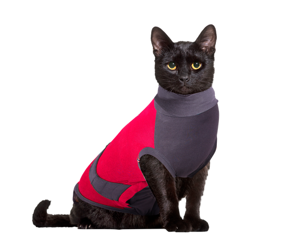 MAXX Medical Pet Clothing for Cats