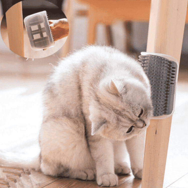 ⭐️Purr. Meow. Woof.⭐️ - Cat Corner Groomer - Grey