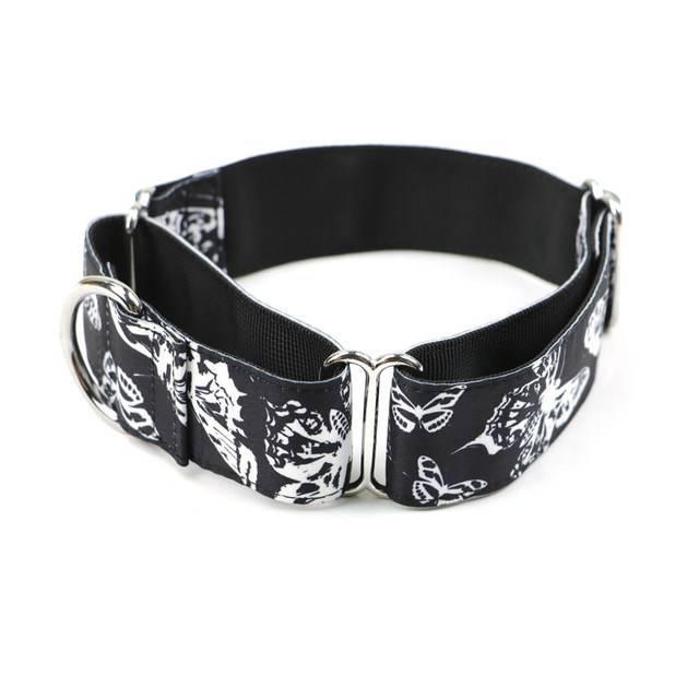 ⭐️Purr. Meow. Woof.⭐️ - Designer Martingale Dog Collar - Black / S