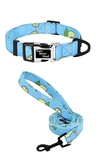 ⭐️Purr. Meow. Woof.⭐️ - Fruity Flavours Dog Collar - Lemon / S / Yes!