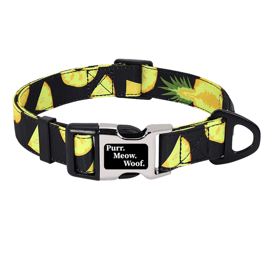 ⭐️Purr. Meow. Woof.⭐️ - Fruity Flavours Dog Collar - Pine apple / S / No