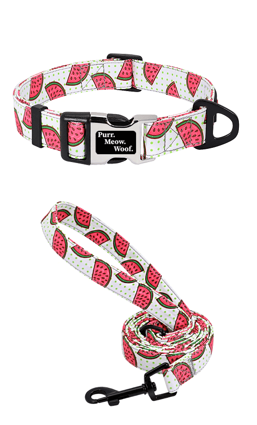 ⭐️Purr. Meow. Woof.⭐️ - Fruity Flavours Dog Collar - Water melon / S / Yes!
