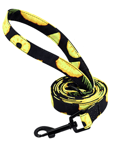 ⭐️Purr. Meow. Woof.⭐️ - Fruity Flavours Dog Lead - Pine Apple