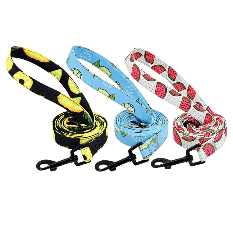 ⭐️Purr. Meow. Woof.⭐️ - Fruity Flavours Dog Lead - Water Melon