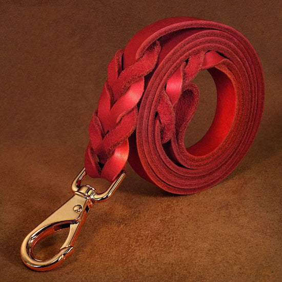 ⭐️Purr. Meow. Woof.⭐️ - Heavy Duty Leather Dog Lead - Red