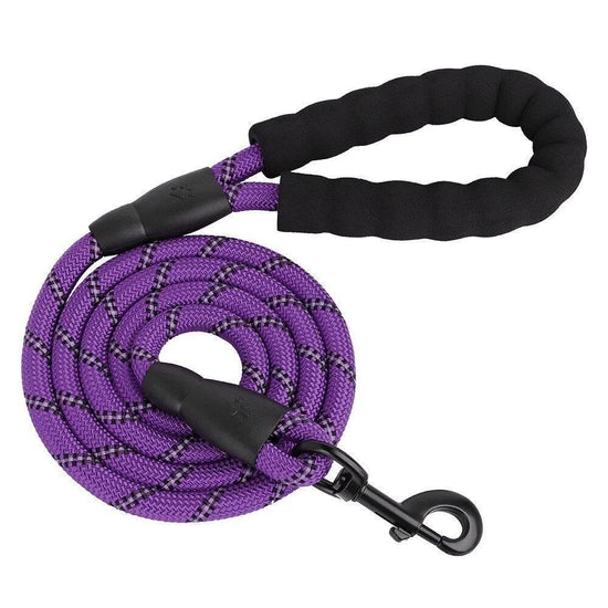 ⭐️Purr. Meow. Woof.⭐️ - Heavy Duty Rope Dog Lead - Purple