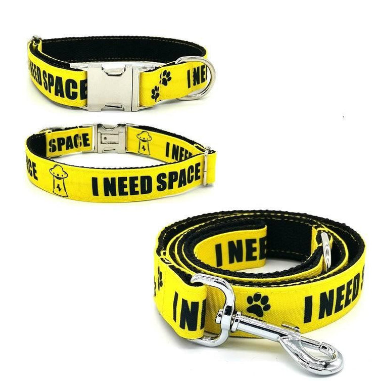 ⭐️Purr. Meow. Woof.⭐️ - I Need Space & Do Not Pet | Dog Collar | - I Need Space / XS / Yes!