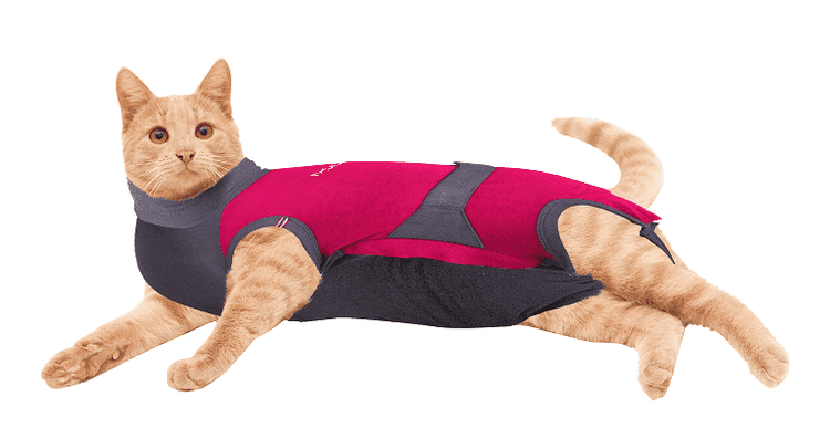 ⭐️Purr. Meow. Woof.⭐️ - MAXX Medical Pet Care Clothing For Cats - 4XS