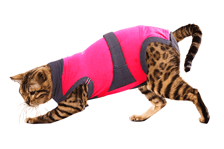 ⭐️Purr. Meow. Woof.⭐️ - MAXX Medical Pet Care Clothing For Cats - 4XS