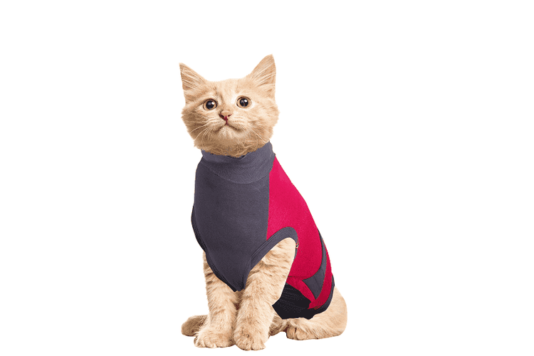 ⭐️Purr. Meow. Woof.⭐️ - MAXX Medical Pet Care Clothing For Cats - 4XS
