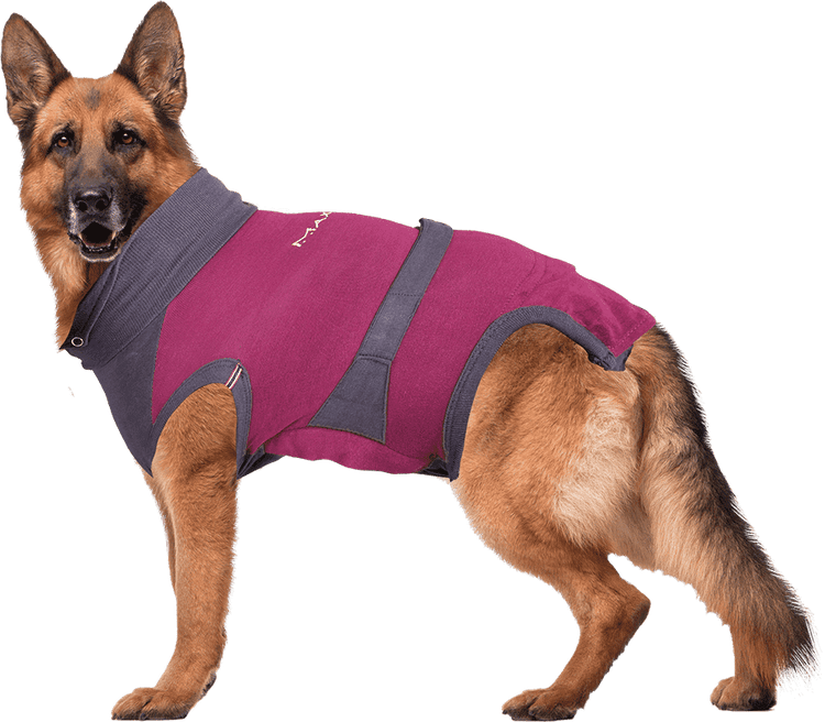 ⭐️Purr. Meow. Woof.⭐️ - MAXX Medical Pet Care Clothing For Dogs - XL / Firebrick