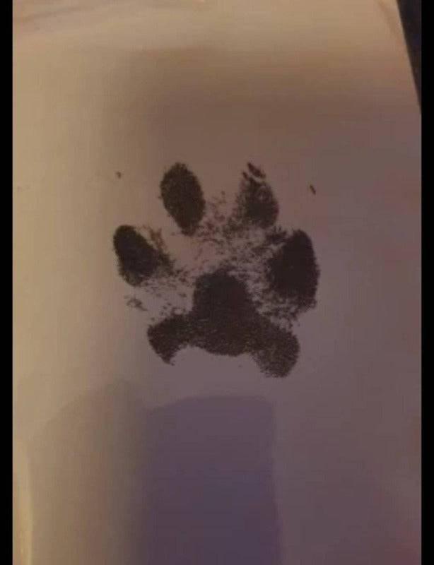 ⭐️Purr. Meow. Woof.⭐️ - Paw Print Ink Kit - Small