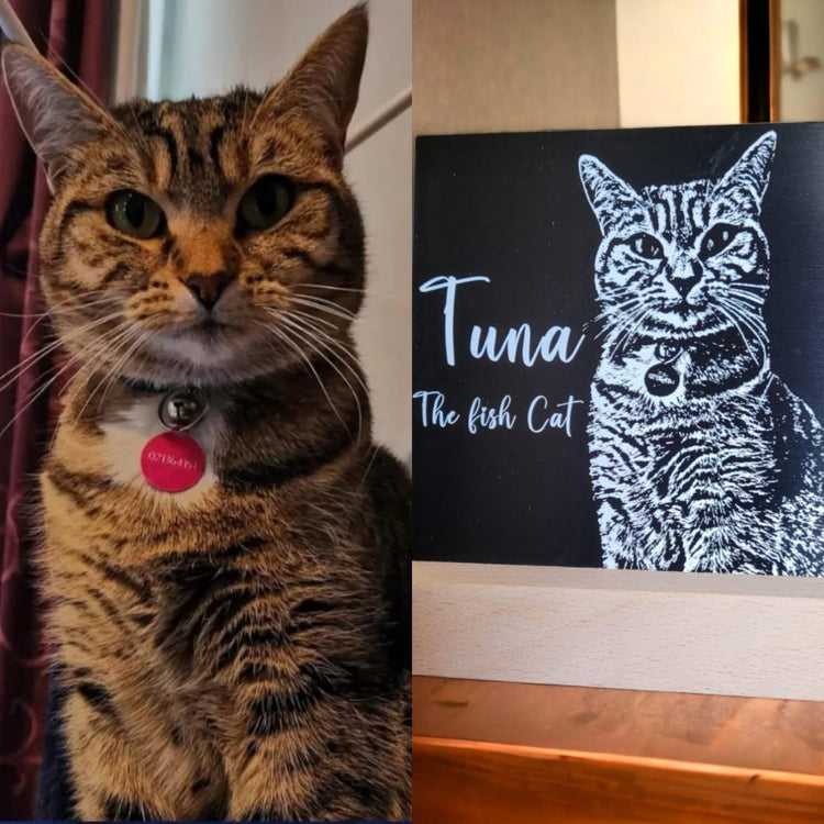 ⭐️Purr. Meow. Woof.⭐️ - Pet Portraits - Black