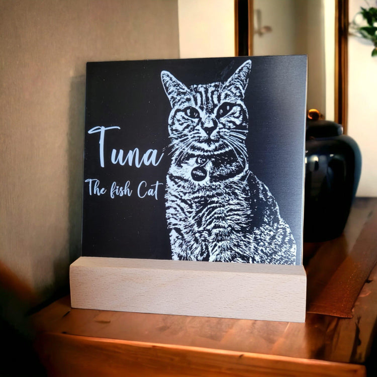 ⭐️Purr. Meow. Woof.⭐️ - Pet Portraits - Black
