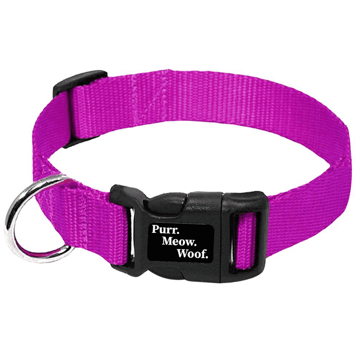 ⭐️Purr. Meow. Woof.⭐️ - PMW Basics Dog Collar - Purple / M