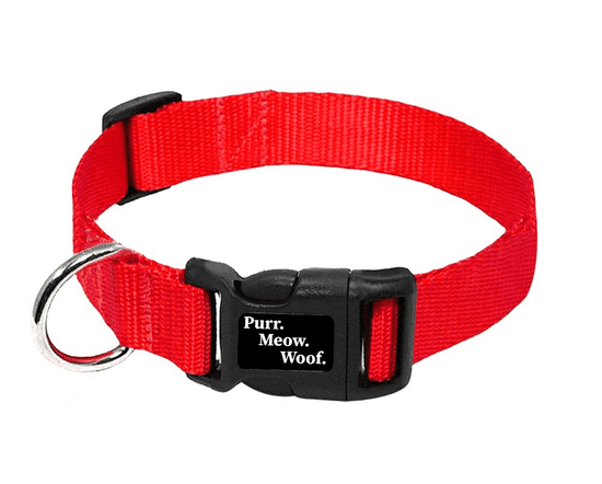 ⭐️Purr. Meow. Woof.⭐️ - PMW Basics Dog Collar - Red / M
