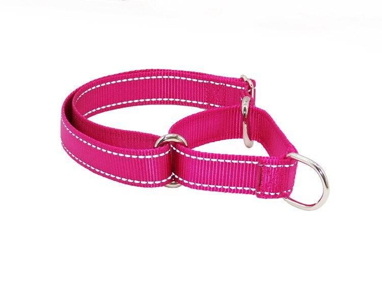 ⭐️Purr. Meow. Woof.⭐️ - PMW Basics Martingale Dog Collar - HotPink / S