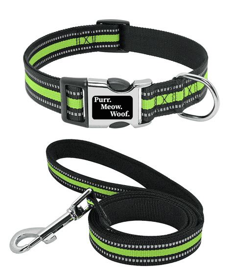 ⭐️Purr. Meow. Woof.⭐️ - Slim Reflective Dog Collar - Chartreuse / S / Yes!