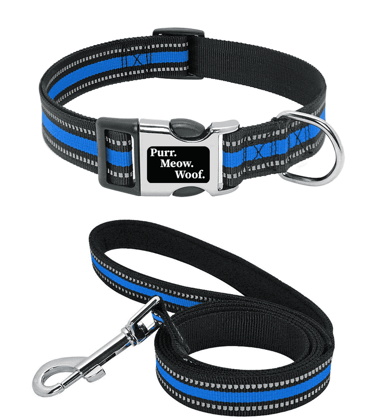 ⭐️Purr. Meow. Woof.⭐️ - Slim Reflective Dog Collar - RoyalBlue / S / Yes!