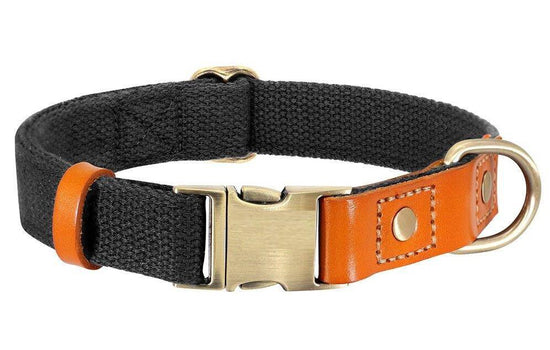 ⭐️Purr. Meow. Woof.⭐️ - Two Tone Executive Dog Collar - Black / S / No