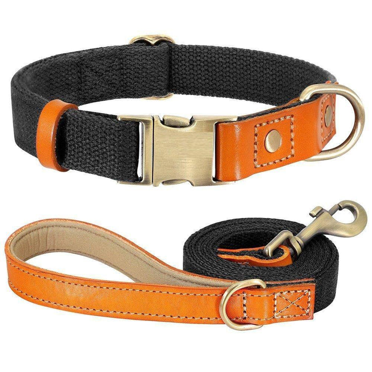 ⭐️Purr. Meow. Woof.⭐️ - Two Tone Executive Dog Collar - Black / S / Yes!