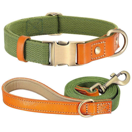 ⭐️Purr. Meow. Woof.⭐️ - Two Tone Executive Dog Collar - DarkOliveGreen / S / Yes!