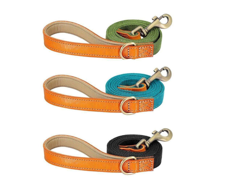 ⭐️Purr. Meow. Woof.⭐️ - Two Tone Executive Dog Lead - DarkCyan