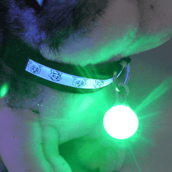 LED Dog Collar Light Pendant - ⭐️Purr. Meow. Woof.⭐️