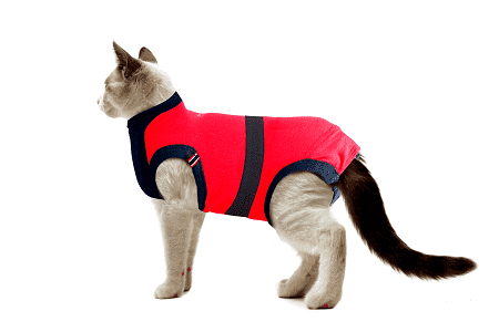 MAXX Medical Pet Care Clothing For Cats - ⭐️Purr. Meow. Woof.⭐️