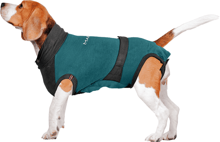 MAXX Medical Pet Care Clothing For Dogs - ⭐️Purr. Meow. Woof.⭐️