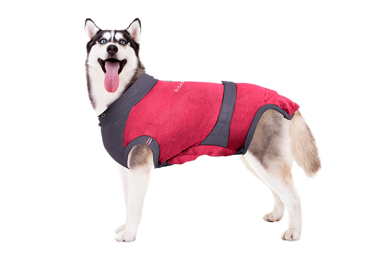 MAXX Medical Pet Clothing for Dogs