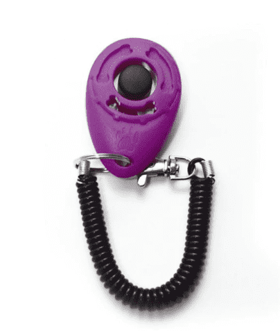 ⭐️Purr. Meow. Woof.⭐️ - Dog Training Clicker - DarkMagenta