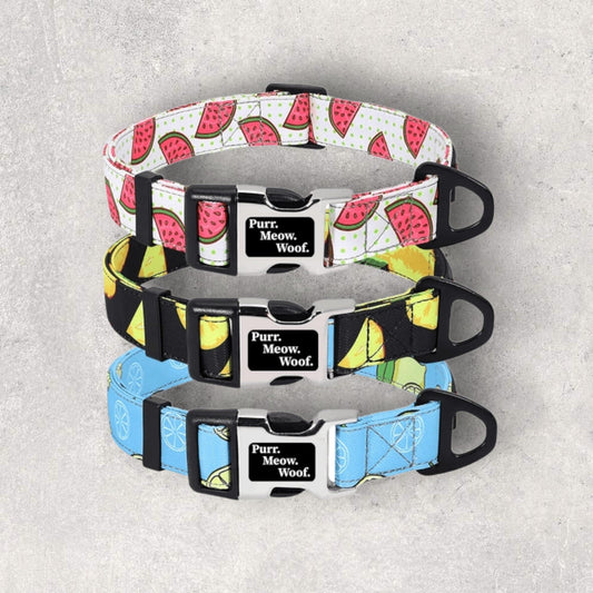 ⭐️Purr. Meow. Woof.⭐️ - Fruity Flavours Dog Collar - Water melon / S / No
