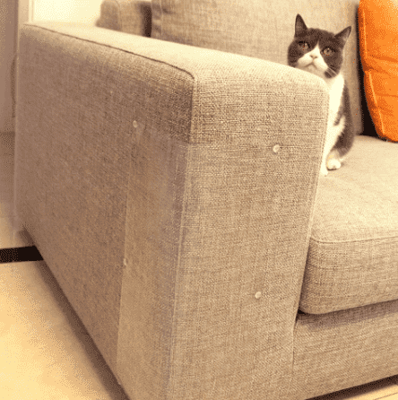 ⭐️Purr. Meow. Woof.⭐️ - Furniture & Couch Cat & Kitten Scratch Protection - 14x40cm
