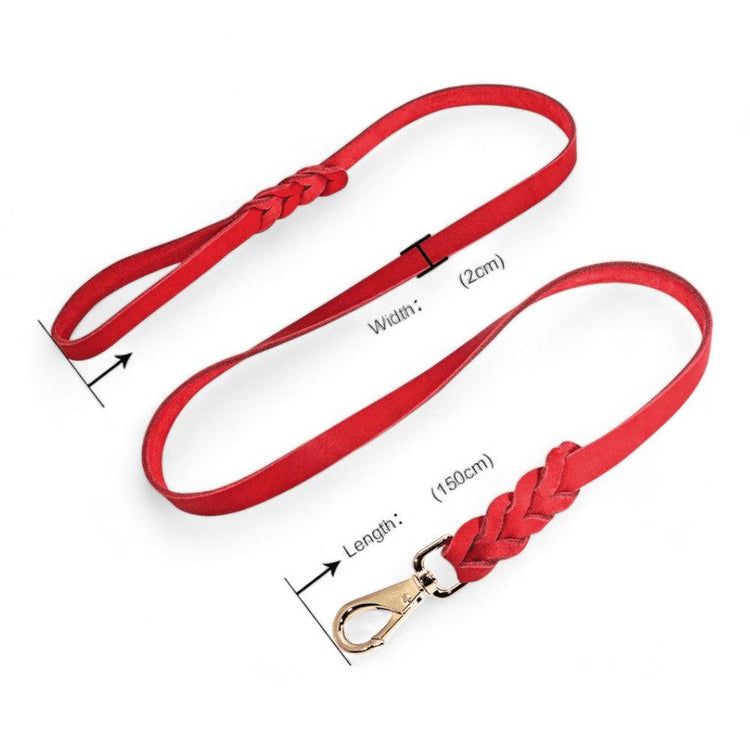 Heavy Duty Leather Dog Lead