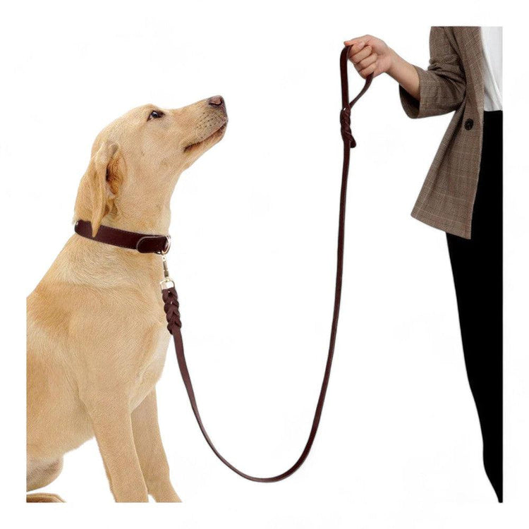 Heavy Duty Leather Dog Lead