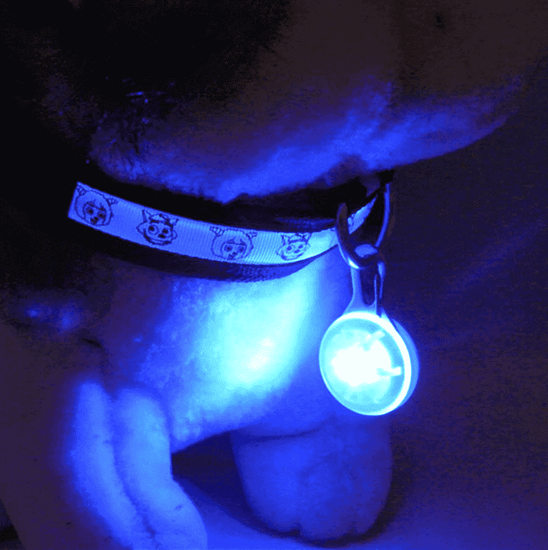 LED Dog Collar Light Pendant - ⭐️Purr. Meow. Woof.⭐️