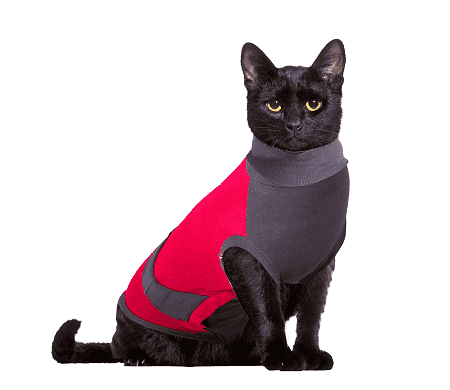 ⭐️Purr. Meow. Woof.⭐️ - MAXX Medical Pet Care Clothing For Cats - 4XS