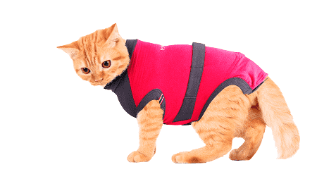 ⭐️Purr. Meow. Woof.⭐️ - MAXX Medical Pet Care Clothing For Cats - 4XS