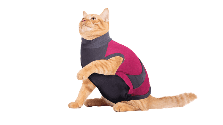⭐️Purr. Meow. Woof.⭐️ - MAXX Medical Pet Care Clothing For Cats - 4XS