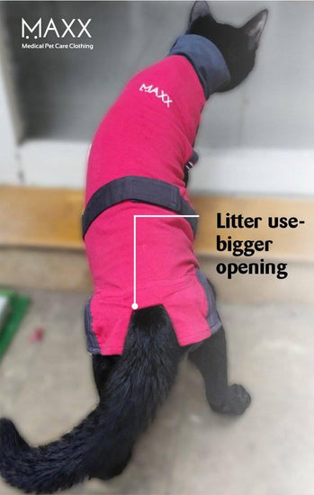 ⭐️Purr. Meow. Woof.⭐️ - MAXX Medical Pet Care Clothing For Cats - 4XS