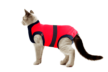 ⭐️Purr. Meow. Woof.⭐️ - MAXX Medical Pet Care Clothing For Cats - 4XS
