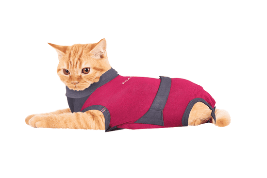⭐️Purr. Meow. Woof.⭐️ - MAXX Medical Pet Care Clothing For Cats - 4XS