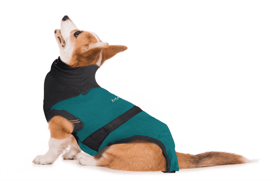 ⭐️Purr. Meow. Woof.⭐️ - MAXX Medical Pet Care Clothing For Dogs - 2XS / SeaGreen