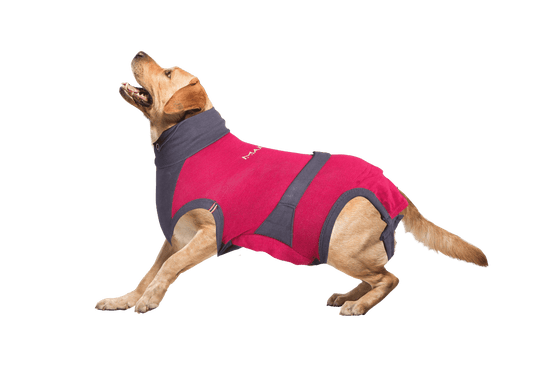 ⭐️Purr. Meow. Woof.⭐️ - MAXX Medical Pet Care Clothing For Dogs - 4XS / Firebrick