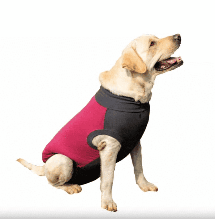 ⭐️Purr. Meow. Woof.⭐️ - MAXX Medical Pet Care Clothing For Dogs - 4XS / Firebrick