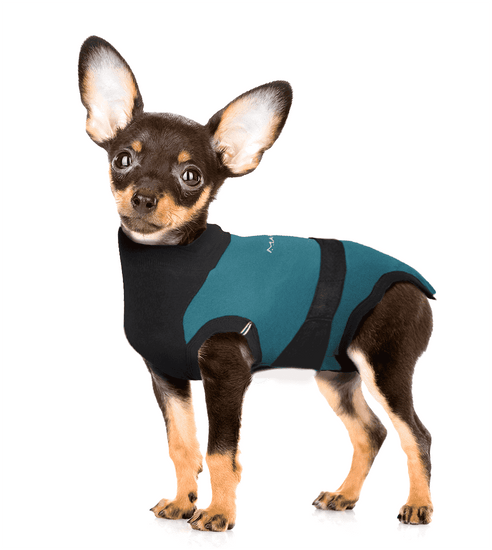 ⭐️Purr. Meow. Woof.⭐️ - MAXX Medical Pet Care Clothing For Dogs - 4XS / SeaGreen