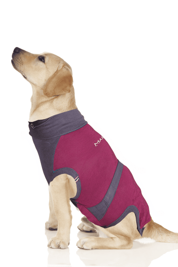 ⭐️Purr. Meow. Woof.⭐️ - MAXX Medical Pet Care Clothing For Dogs - M+ / Firebrick