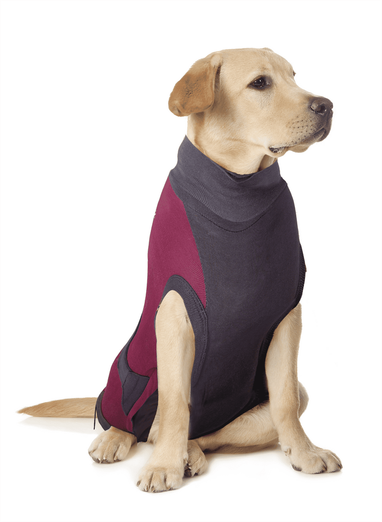 ⭐️Purr. Meow. Woof.⭐️ - MAXX Medical Pet Care Clothing For Dogs - M / Firebrick